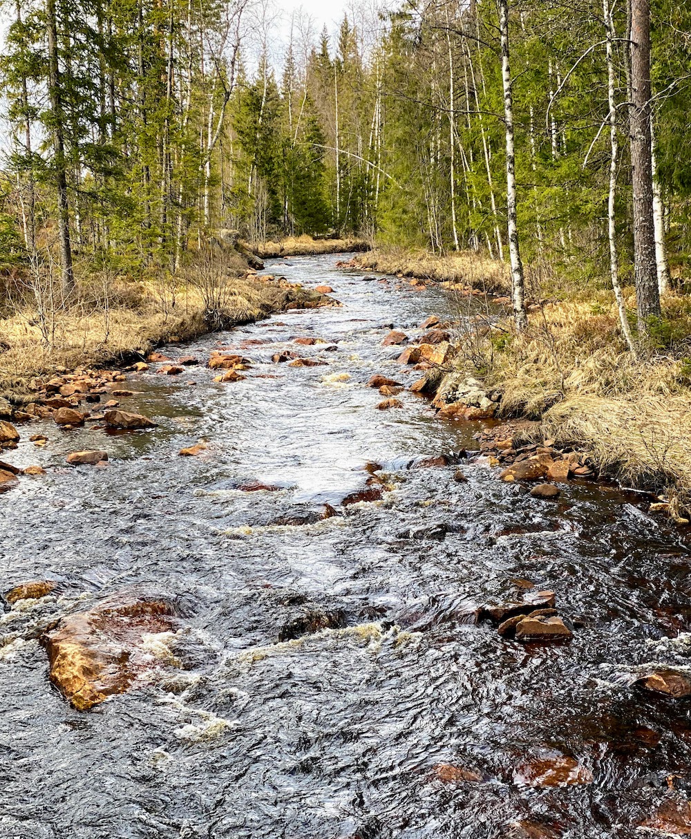 hiking in Sweden