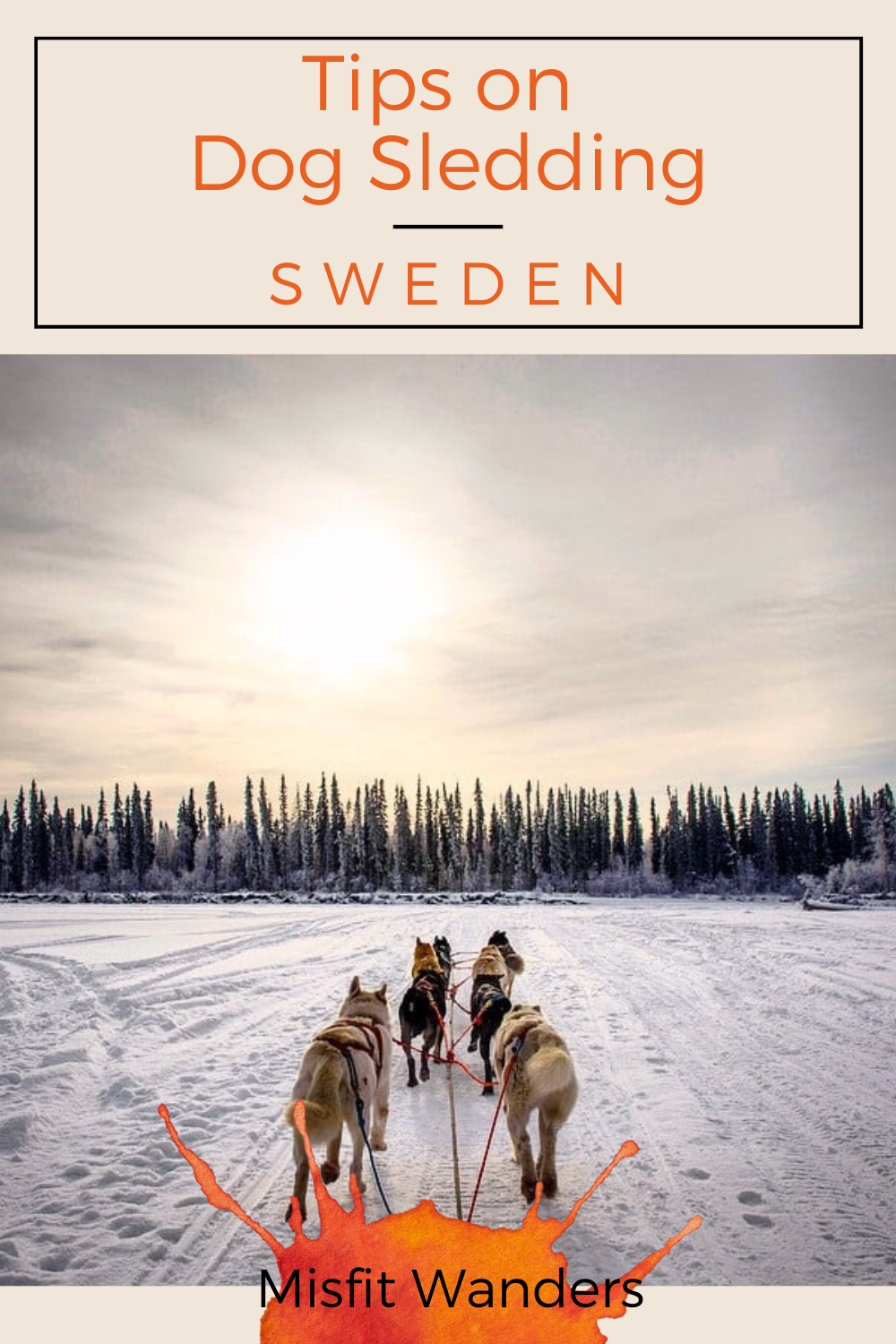 dog sledding Sweden