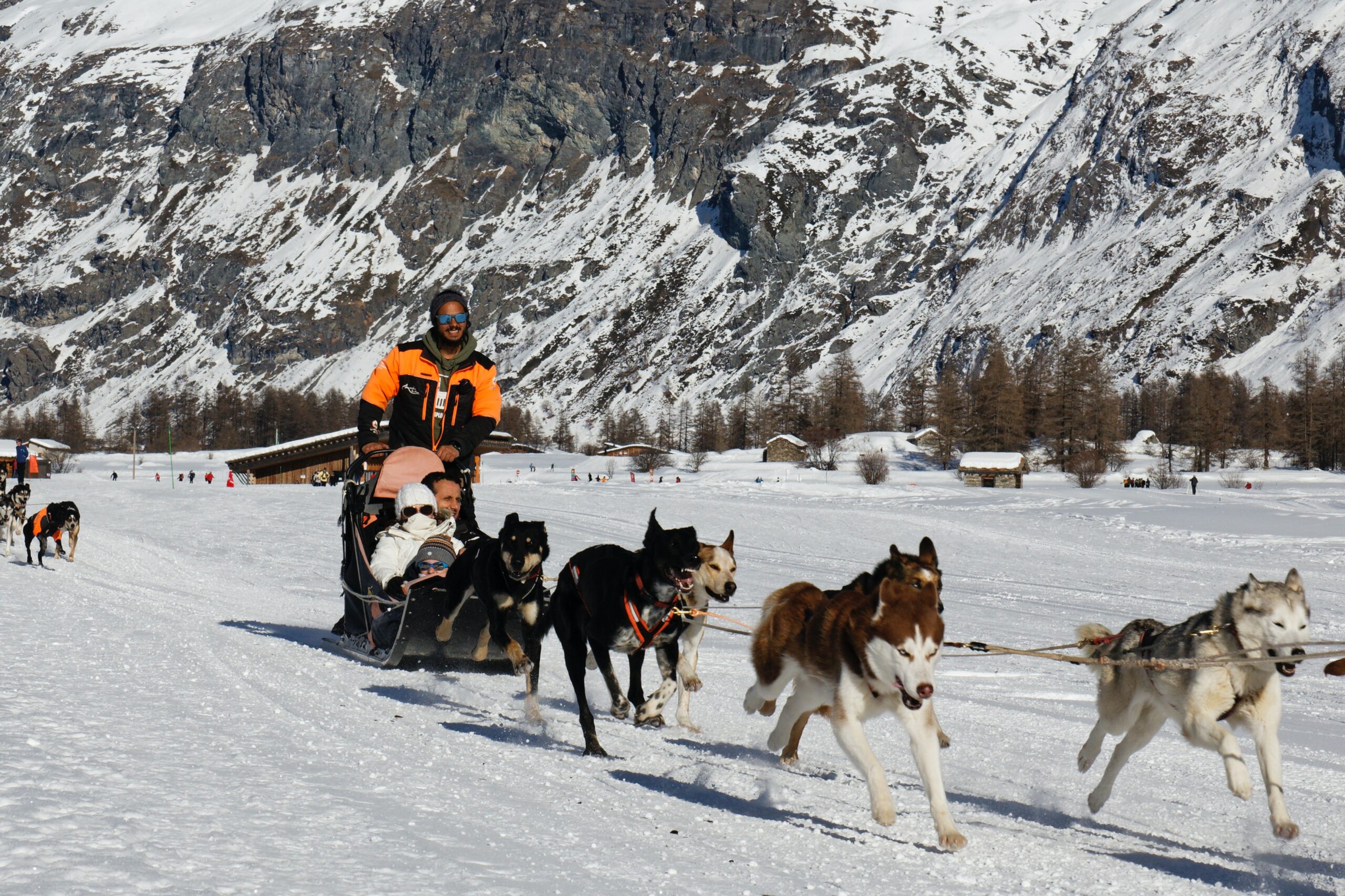 dog sledding Sweden