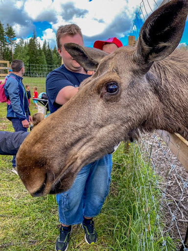 Wild camping Sweden