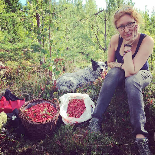 berry picking in Sweden