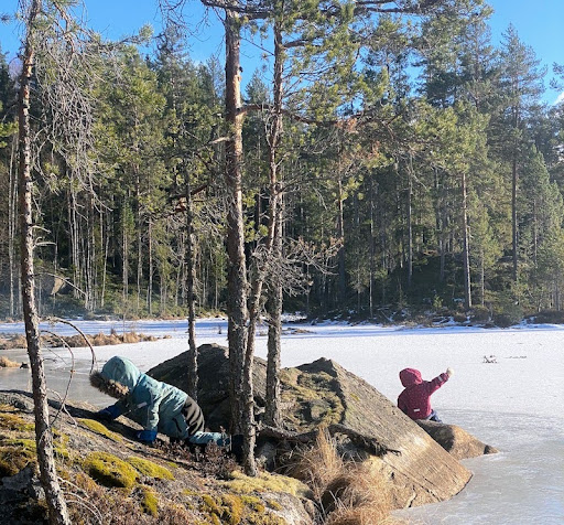 camping Värmland