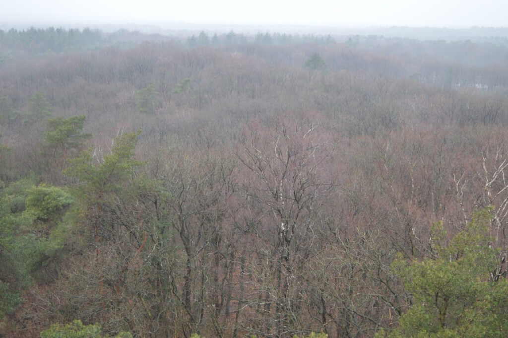 Hoge Veluwe National Park