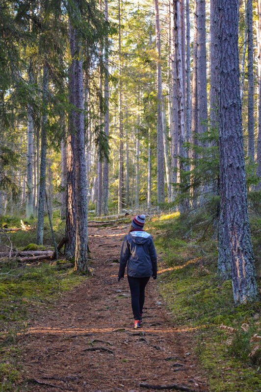 Tyresta National Park