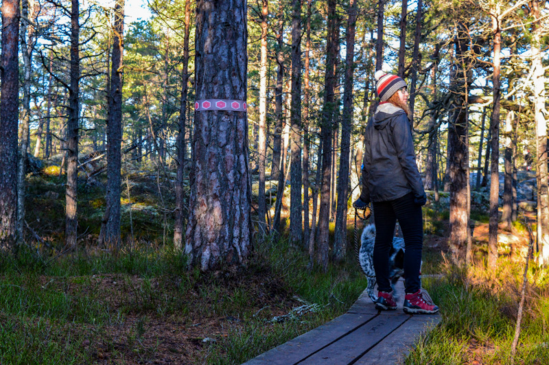 Tyresta National Park