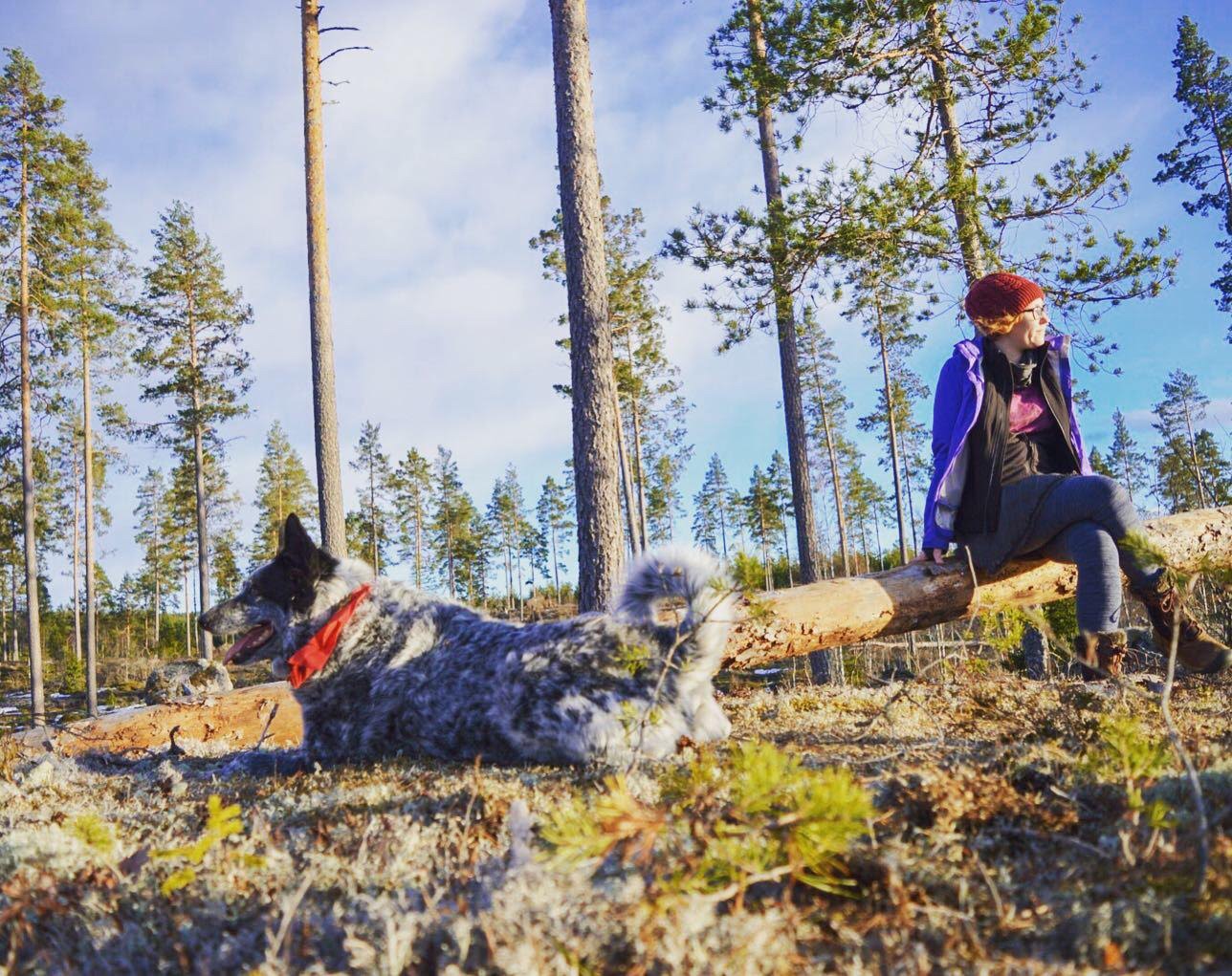 winter in sweden