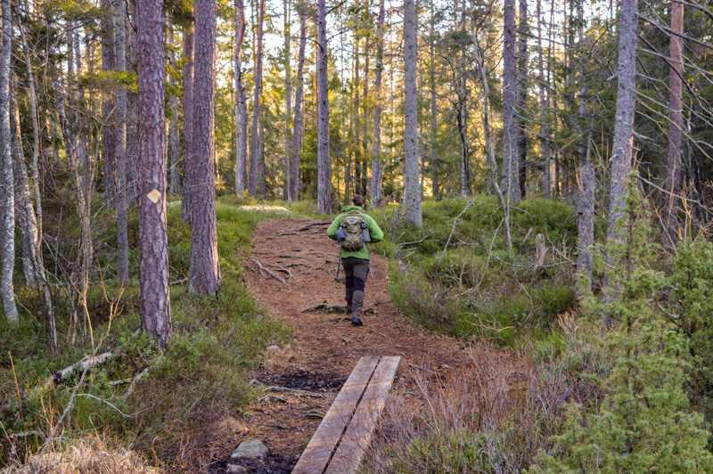 Tyresta National Park