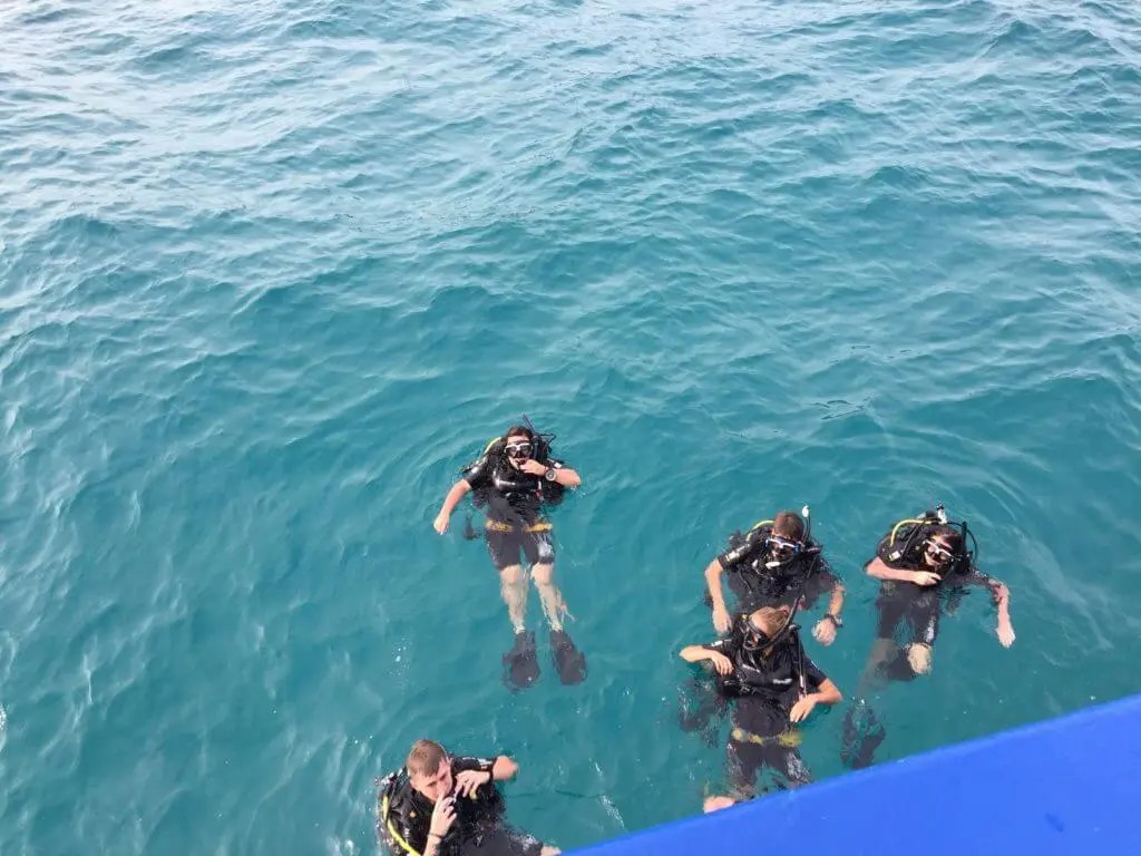 koh tao diving