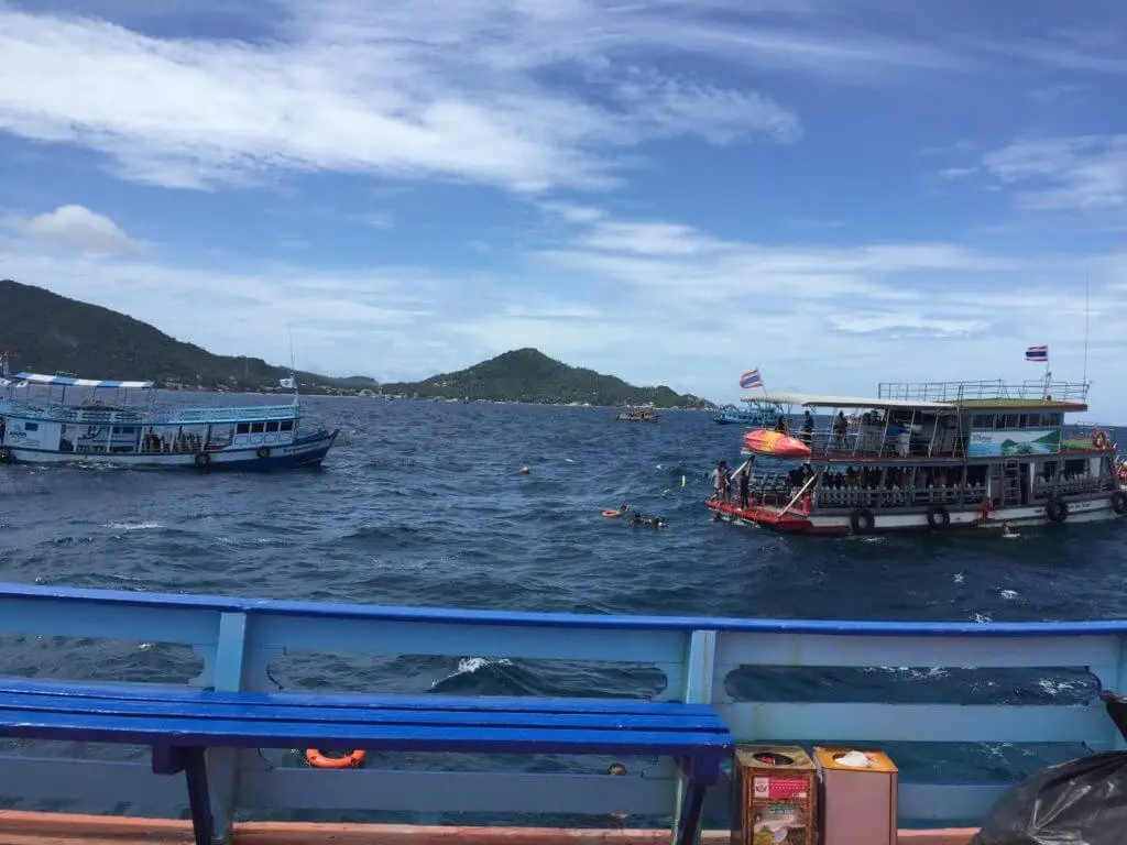 koh tao diving