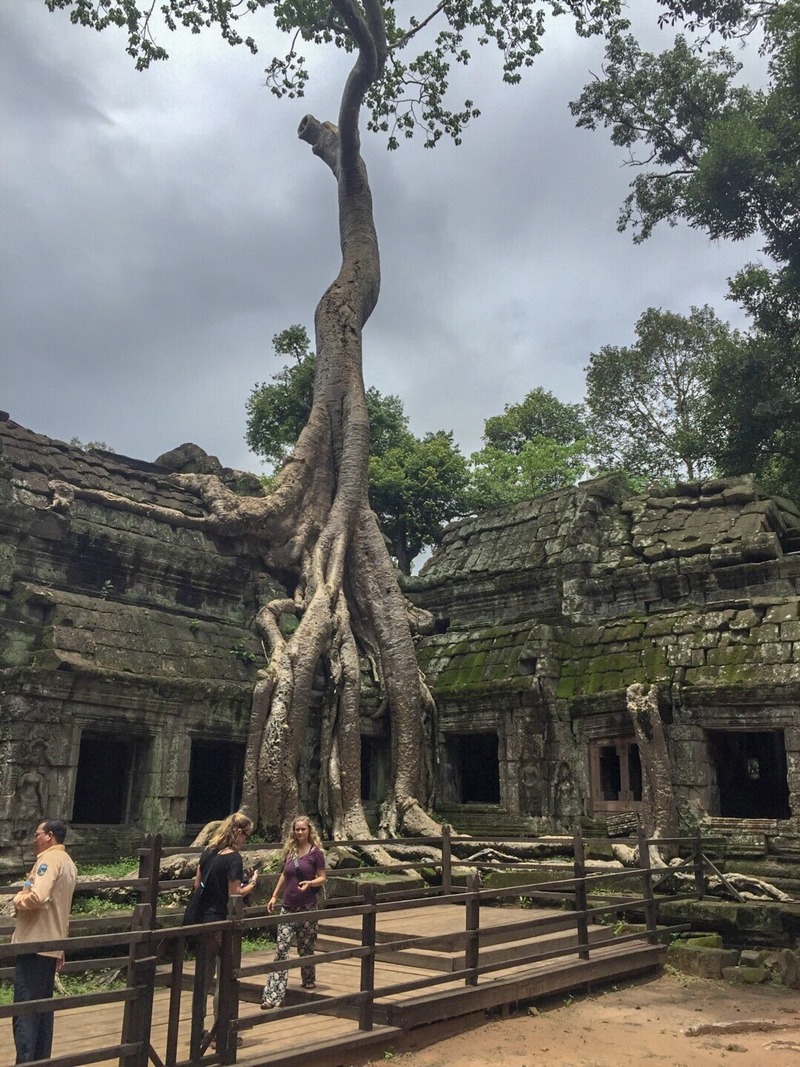 angkor wat guide