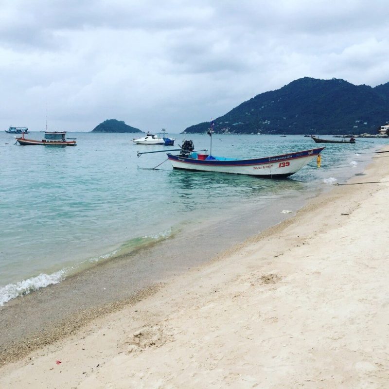 koh tao diving