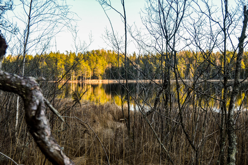 Tyresta National Park