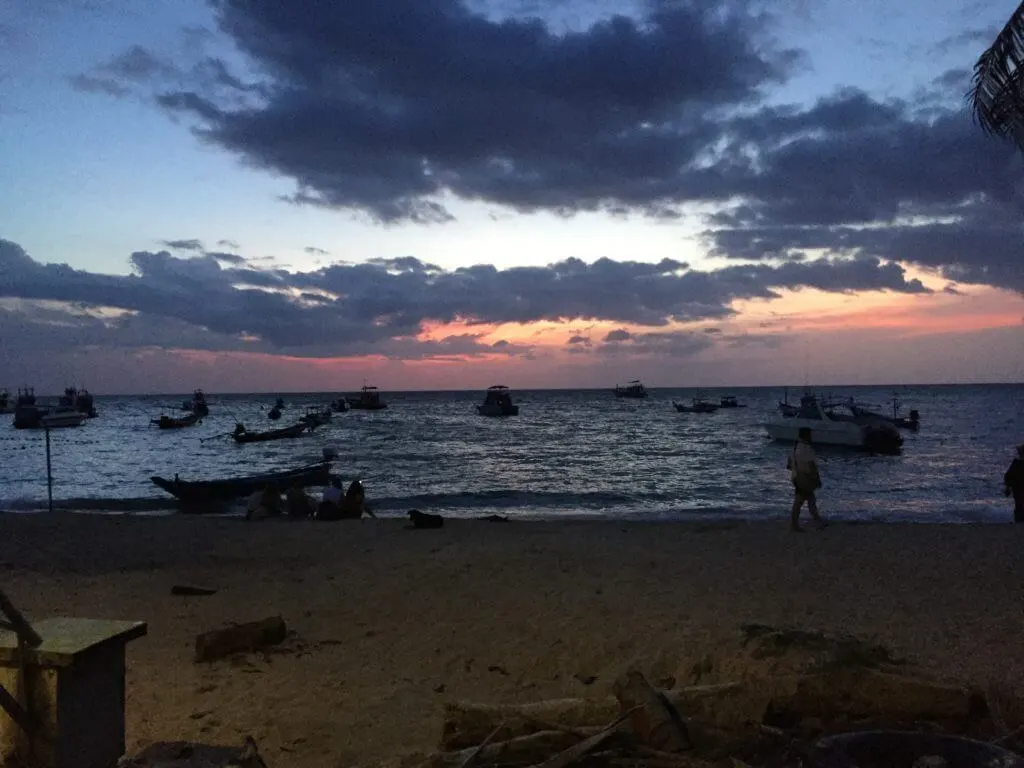 koh tao diving