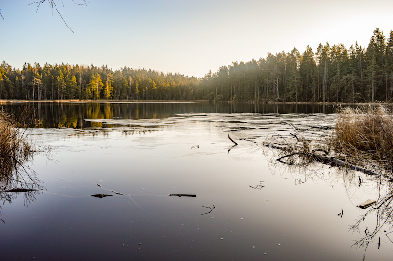 Tyresta National Park