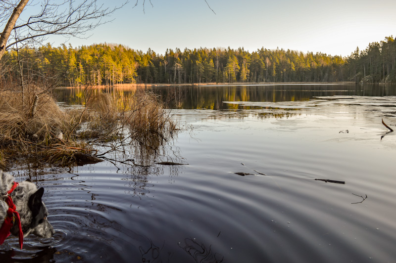 Tyresta National Park