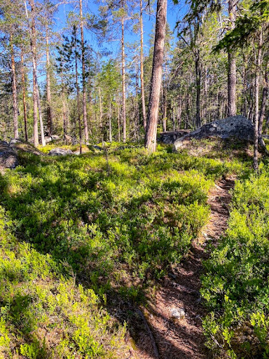 Wild camping Sweden