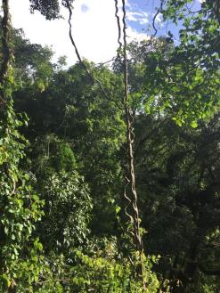 mayura zipline in Cambodia