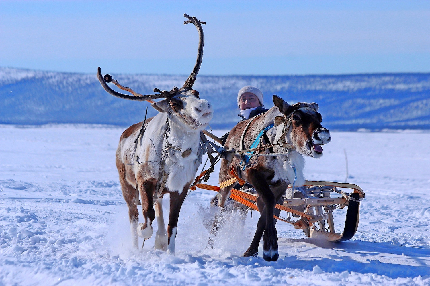 winter holiday in sweden