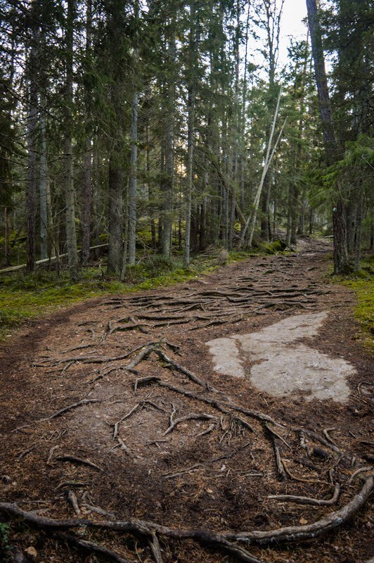 hiking stockholm