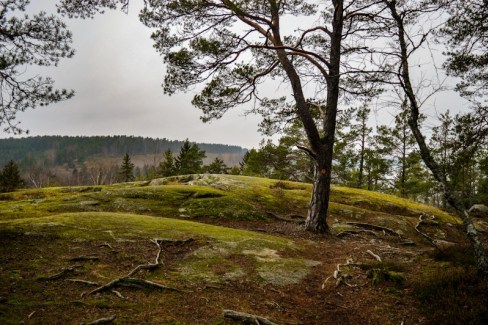 hiking stockholm